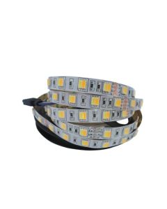 5050 SMD WW+CW LED Strip Color Temperature Adjustable 60LED/m CCT Light 5M